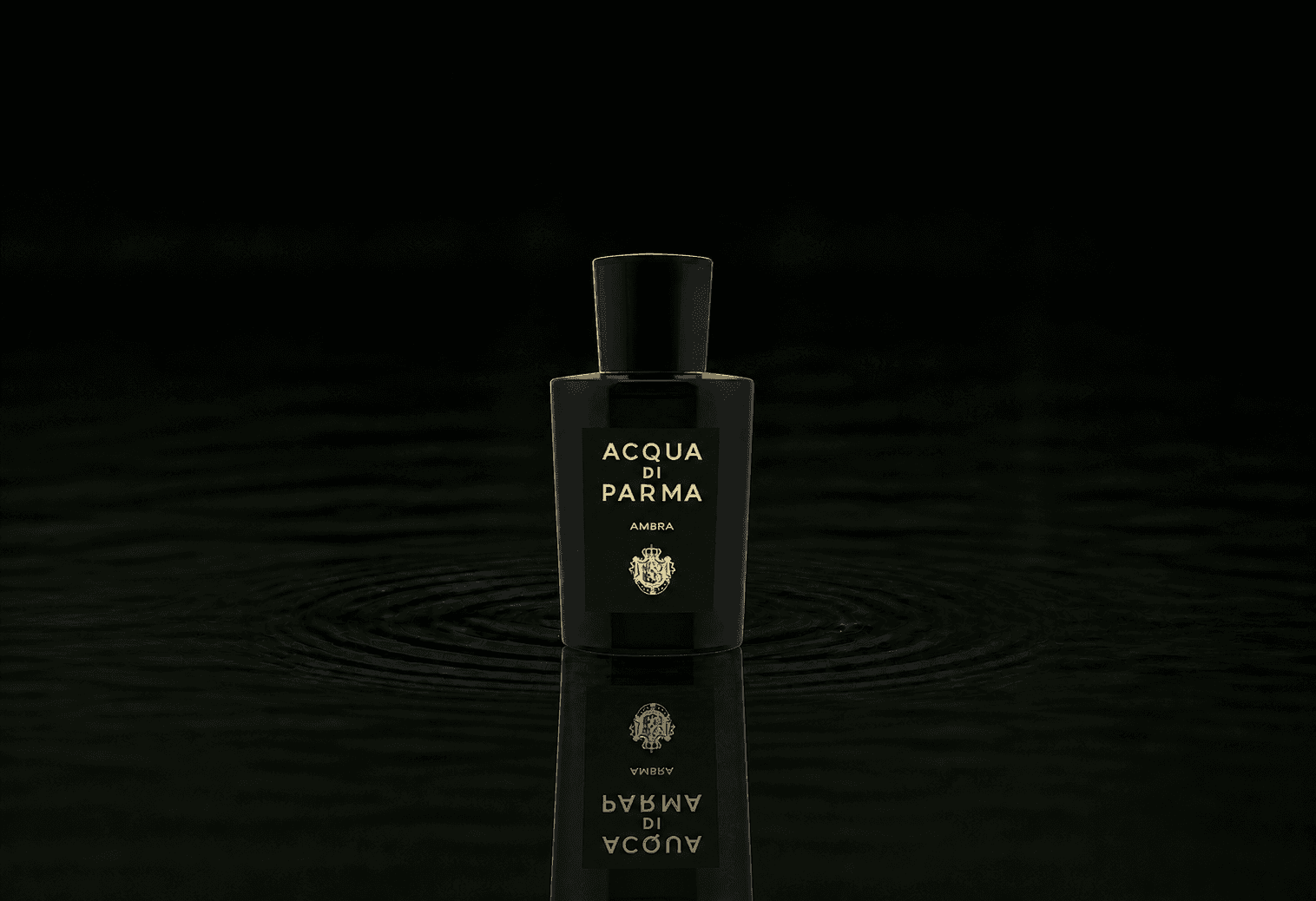 Acqua Di Parma Ambra fragrance bottle floating above dark water