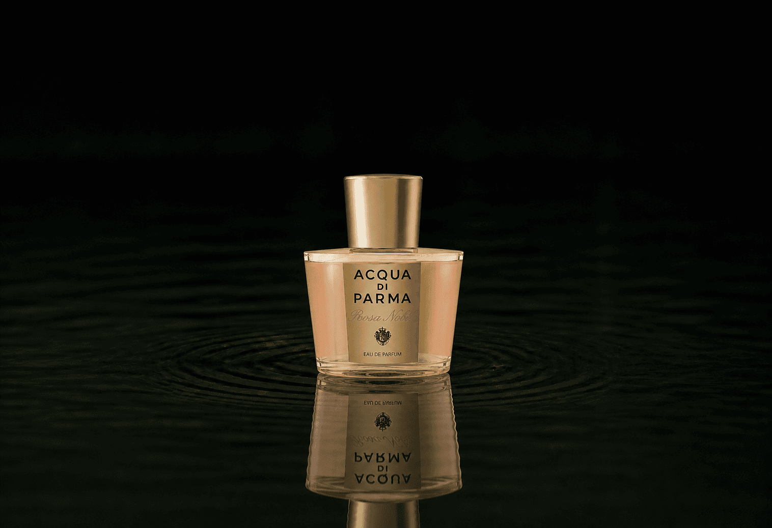 Acqua Di Parma Rosa fragrance bottle floating above dark water