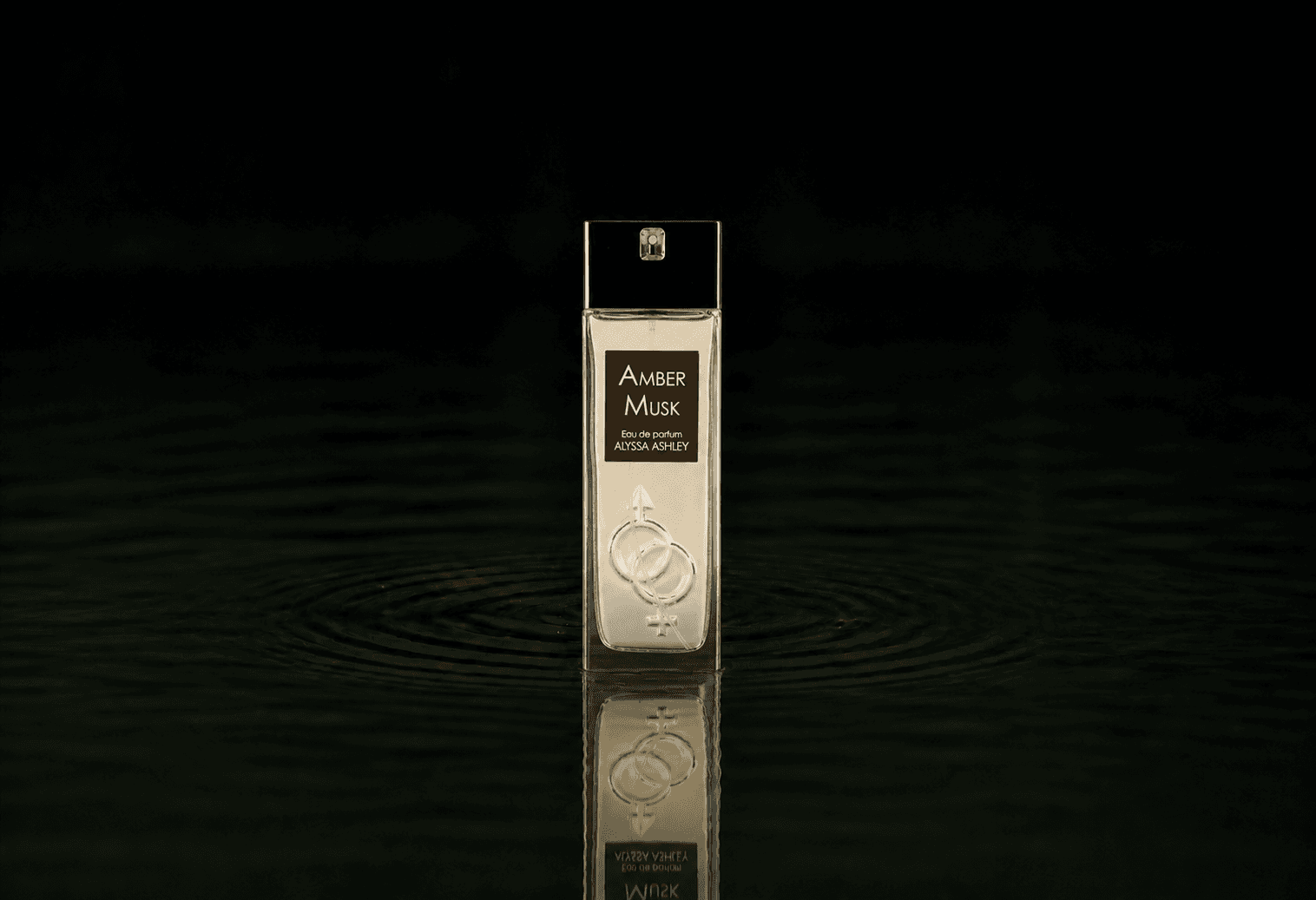 Alyssa Ashley Amber Musk fragrance bottle floating above dark water