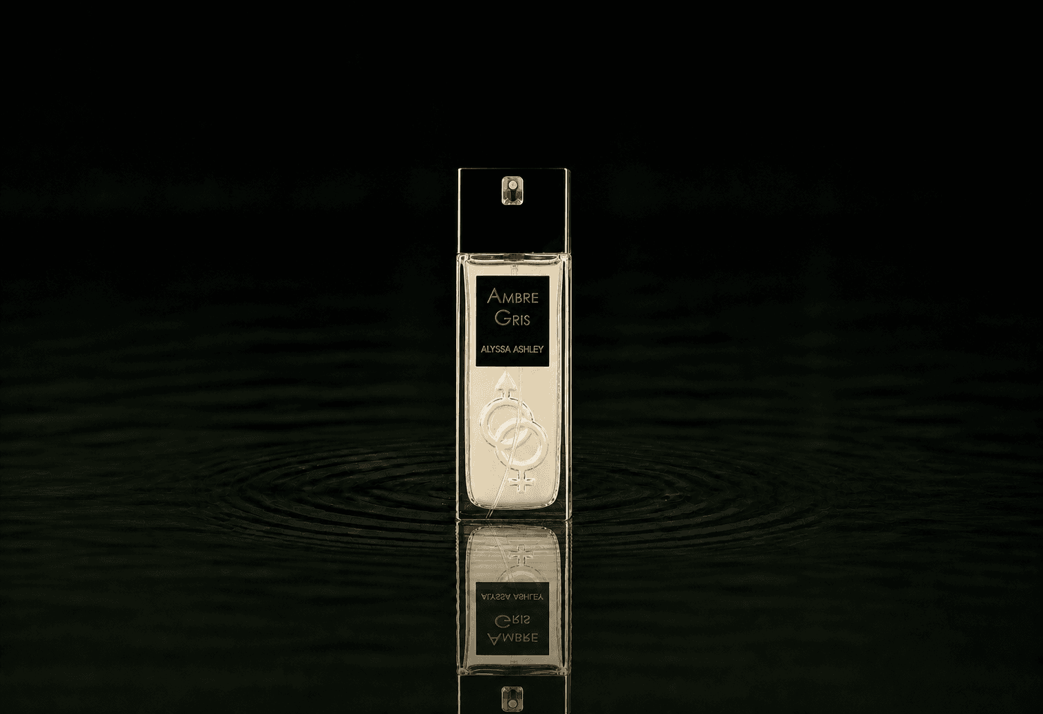 Alyssa Ashley Ambre Gris fragrance bottle floating above dark water