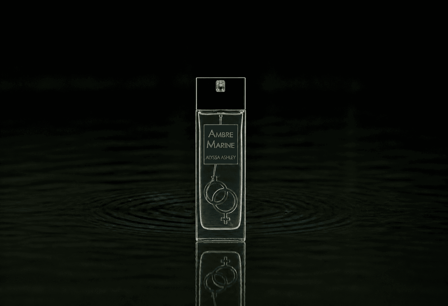 Alyssa Ashley Ambre Marine fragrance bottle floating above dark water