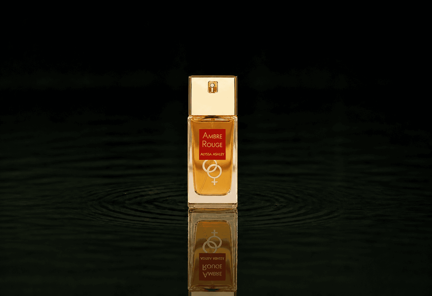 Alyssa Ashley Ambre Rouge fragrance bottle floating above dark water