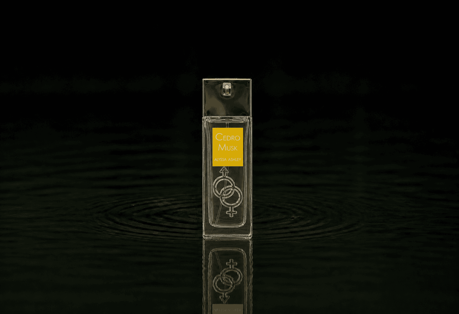 Alyssa Ashley Cedro Musk fragrance bottle floating above dark water