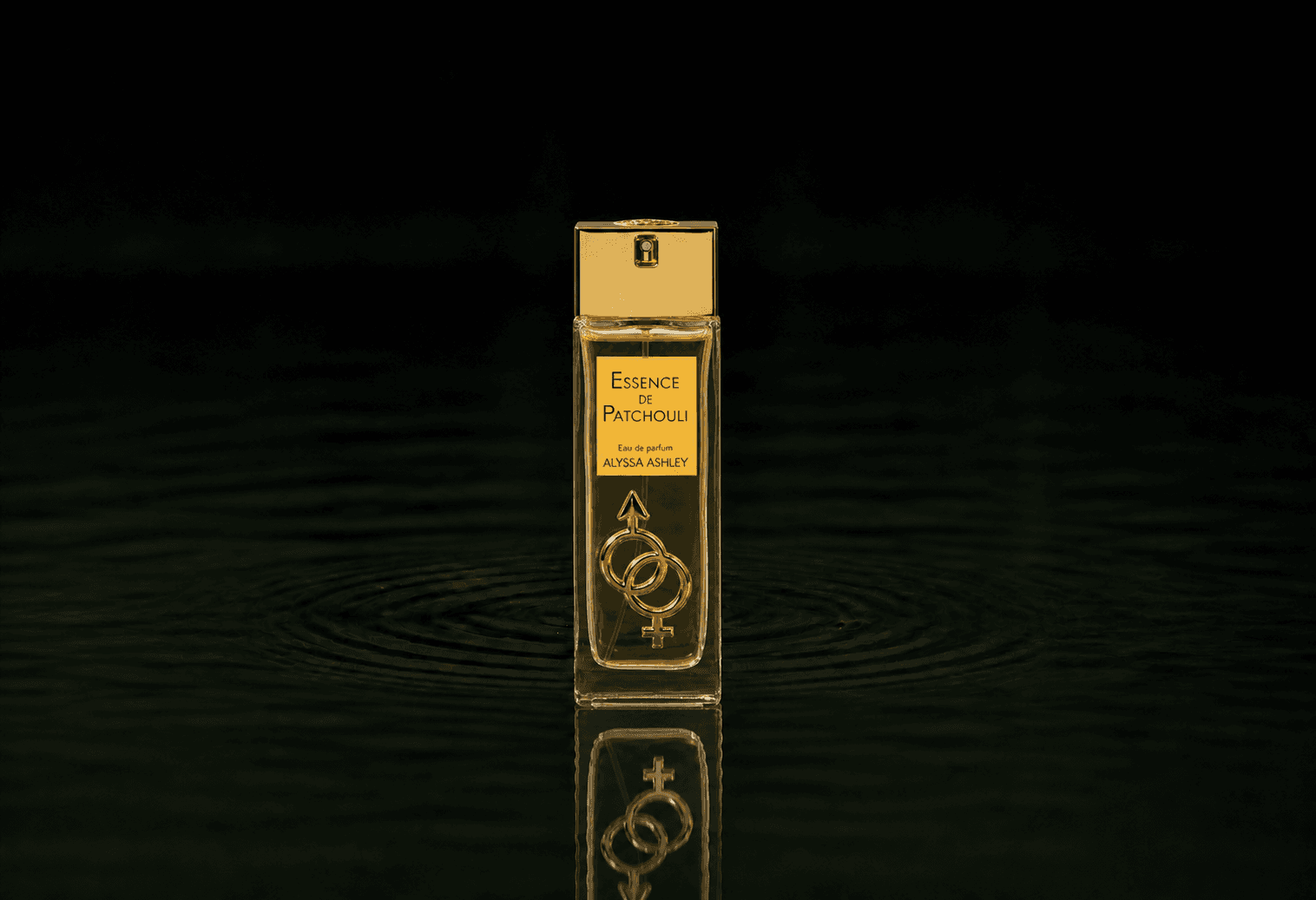 Alyssa Ashley Essence De Patchouli fragrance bottle floating above dark water