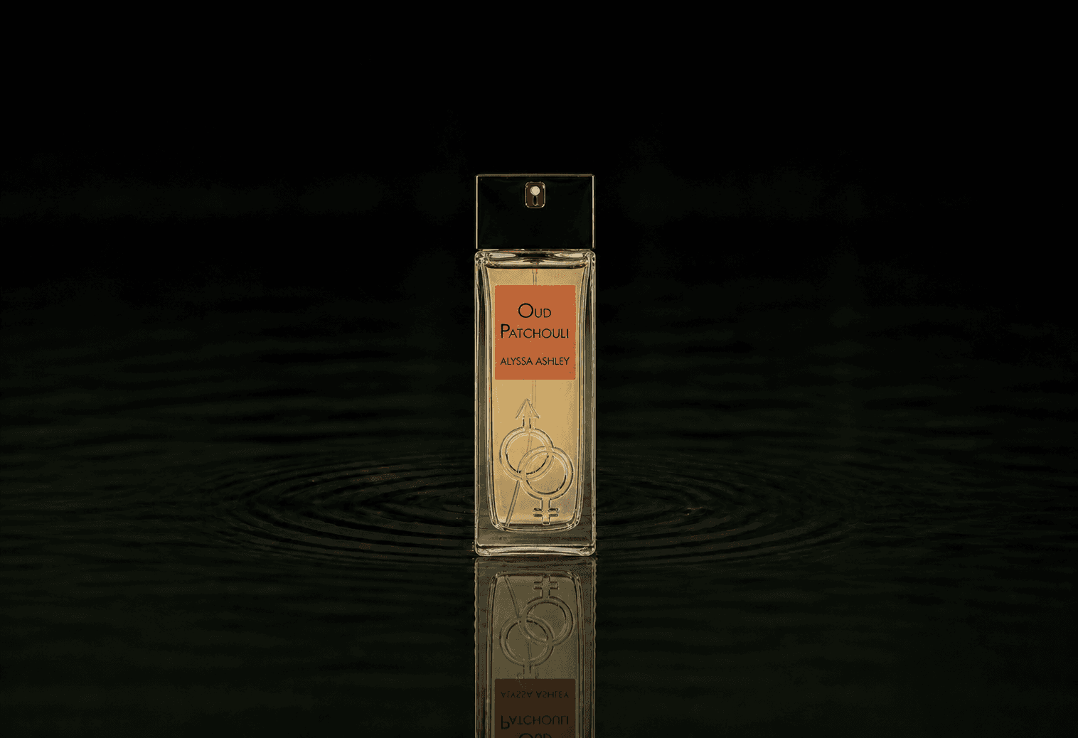 Alyssa Ashley Oud Patchouli fragrance bottle floating above dark water