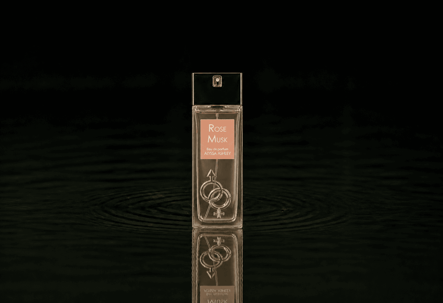 Alyssa Ashley Rose Musk fragrance bottle floating above dark water