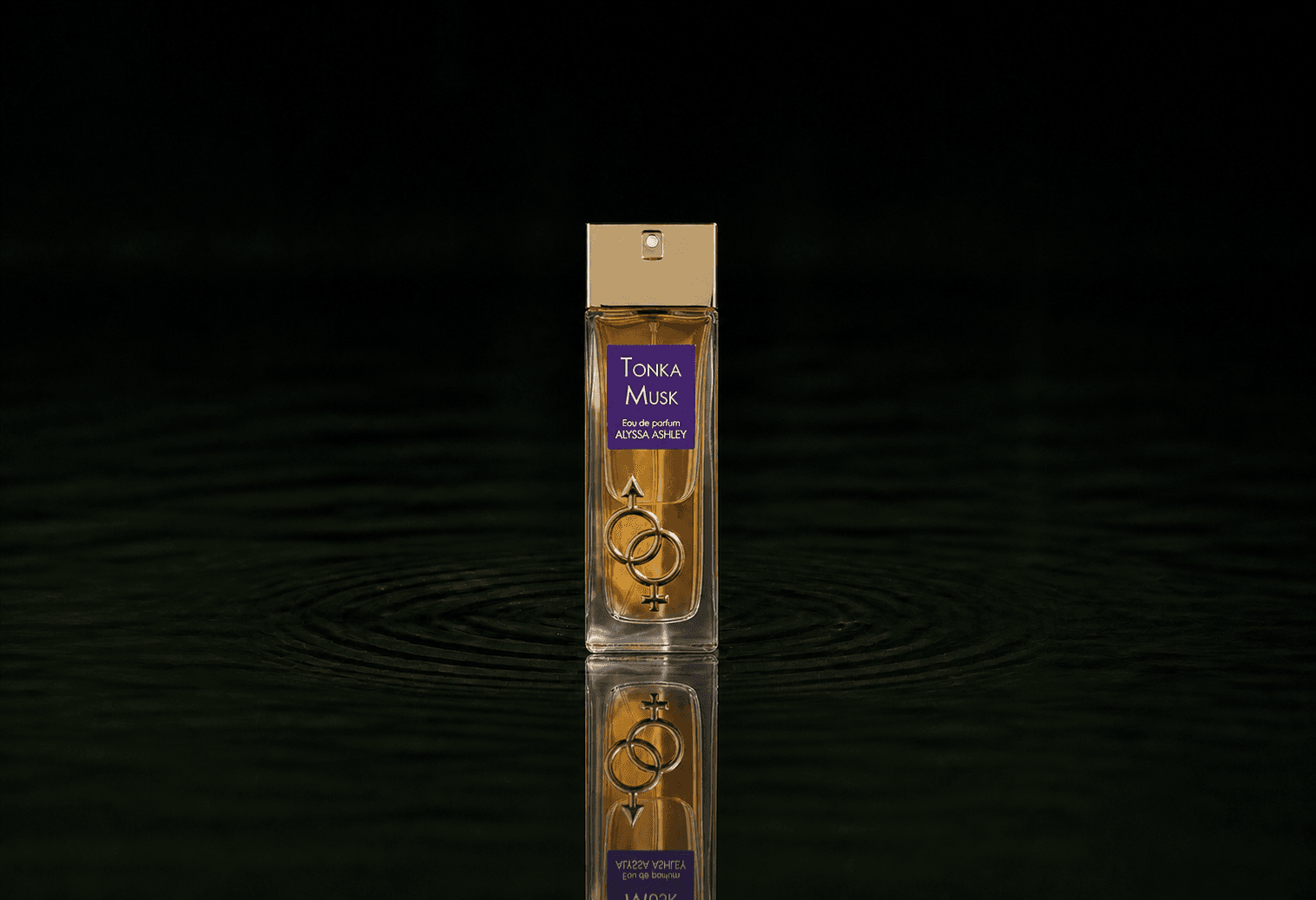 Alyssa Ashley Tonka Musk fragrance bottle floating above dark water