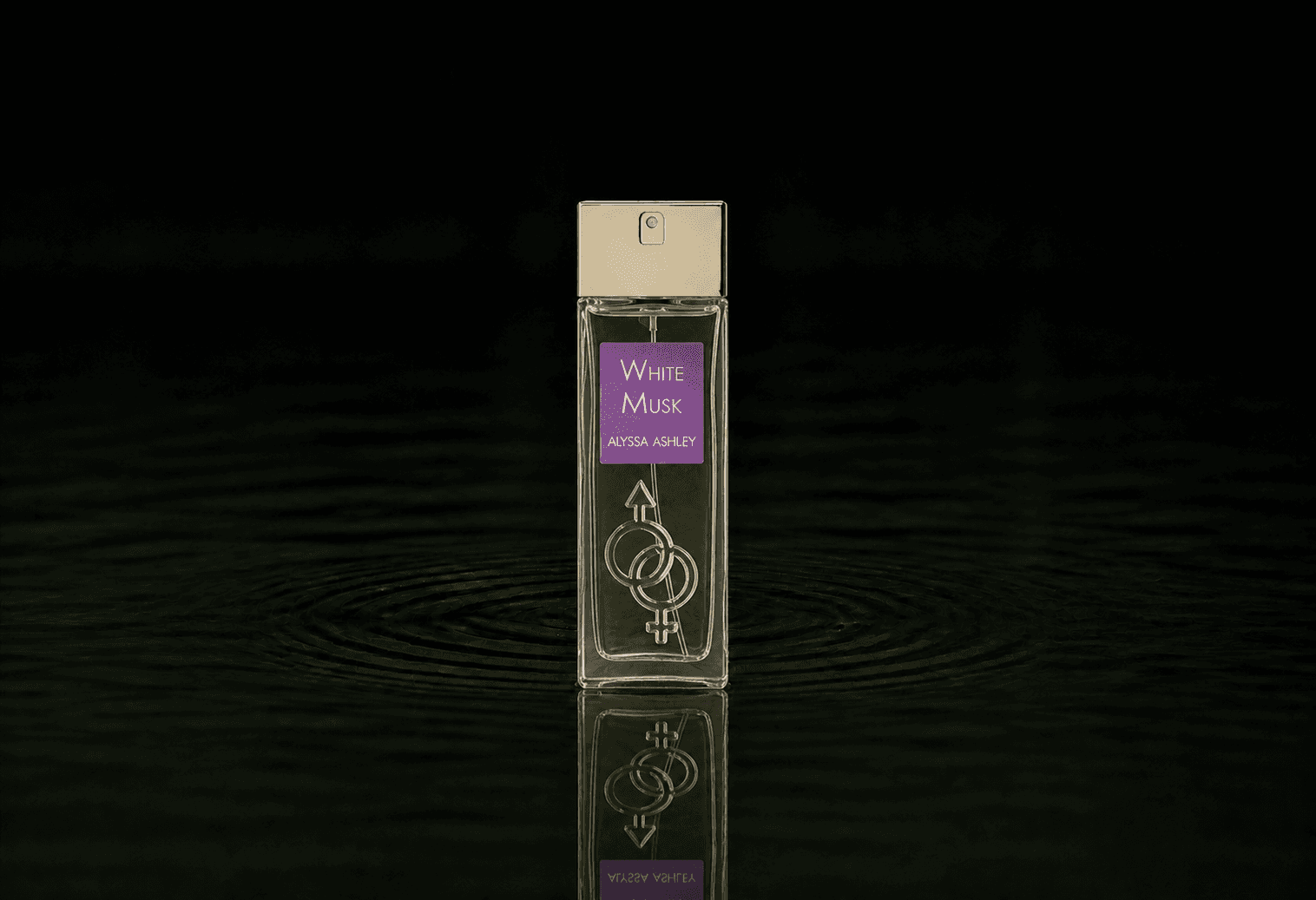 Alyssa Ashley White Musk fragrance bottle floating above dark water