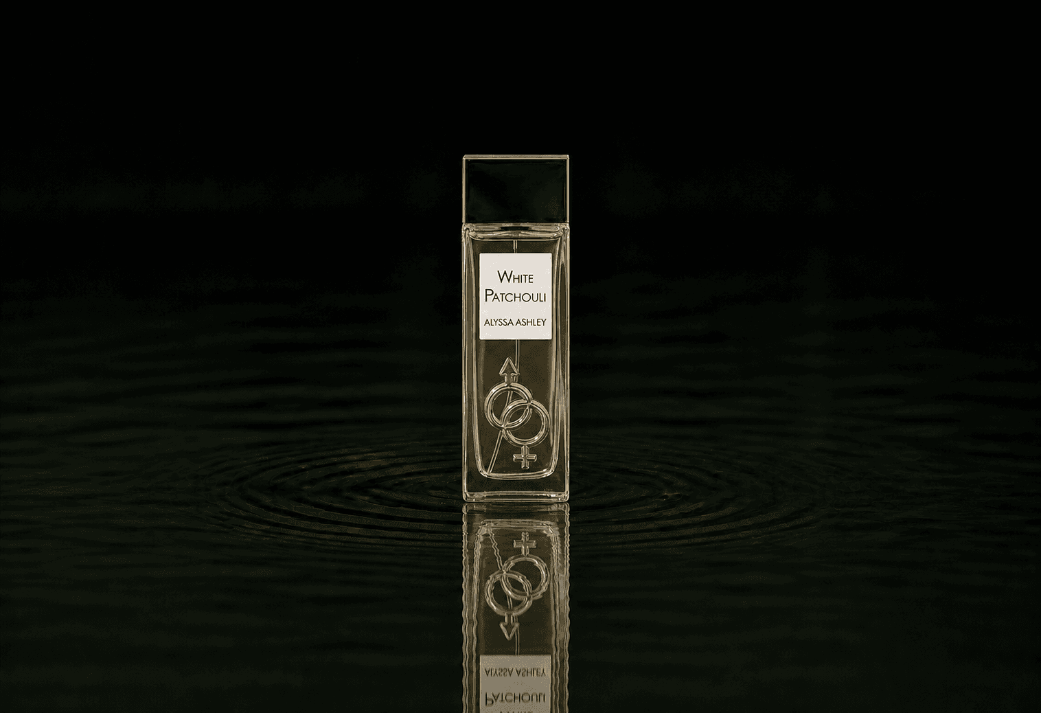 Alyssa Ashley White PatchouIi fragrance bottle floating above dark water