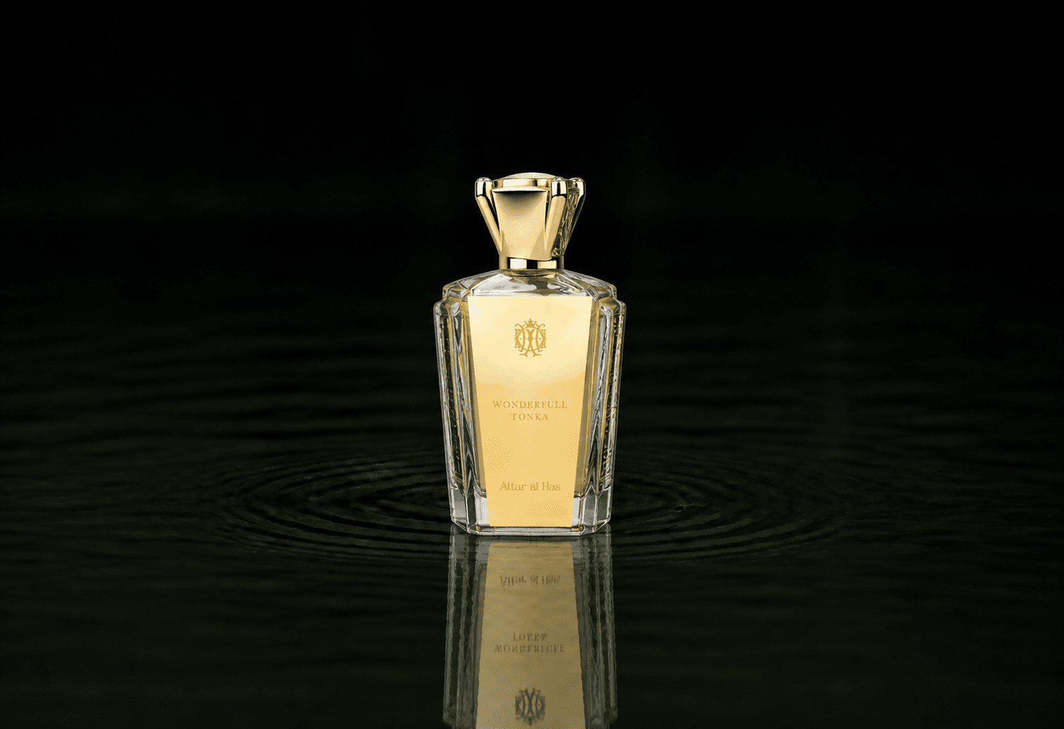Attar Al Has Wonderful Tonka fragrance bottle floating above dark water
