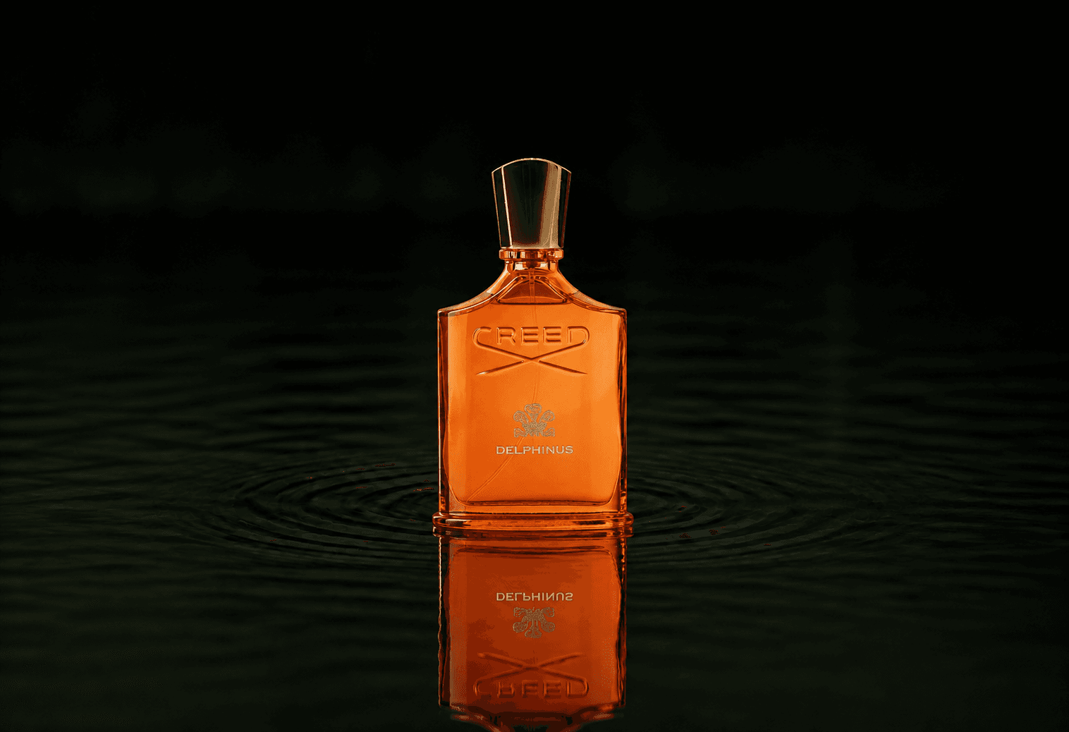 Creed Delphinus fragrance bottle floating above dark water
