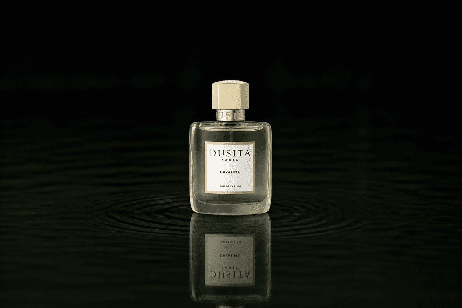 Dusita Cavatina fragrance bottle floating above dark water