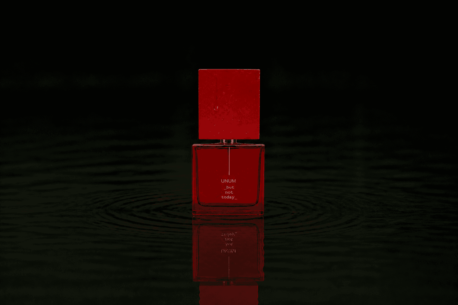 Filippo Sorcinelli But Not Today fragrance bottle floating above dark water