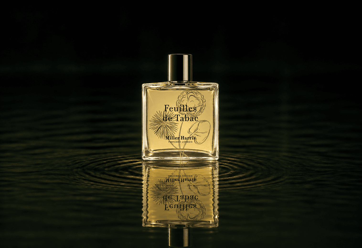 Miller Harris Feuilles De Tabac fragrance bottle floating above dark water